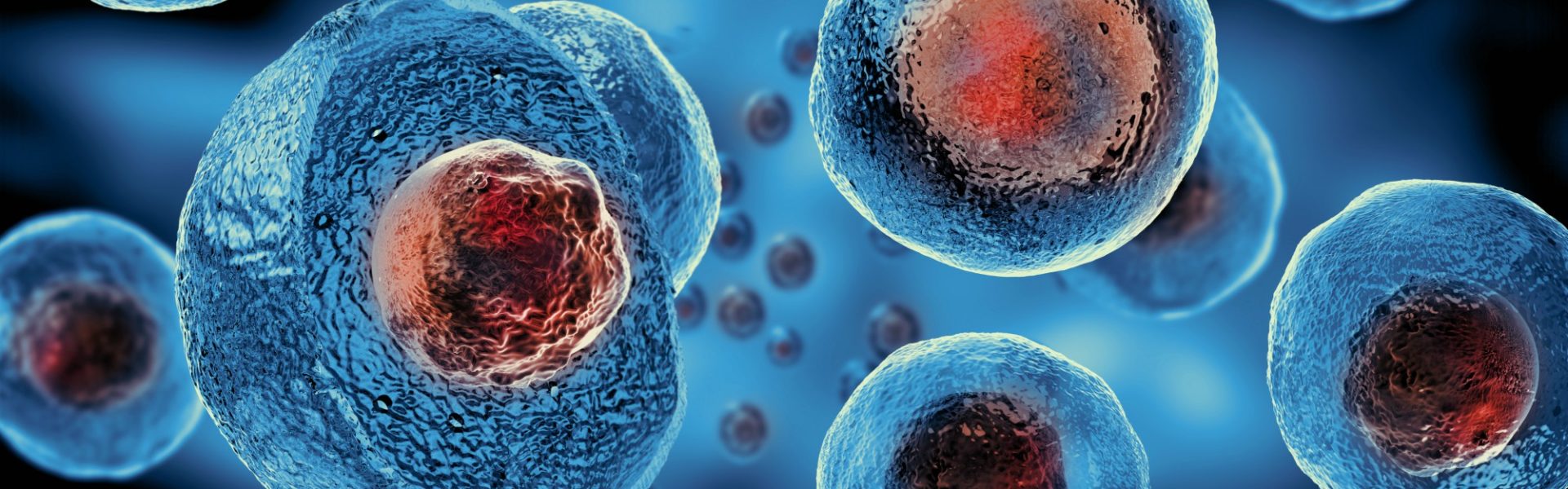 Células-tronco: o que são e principais aplicações