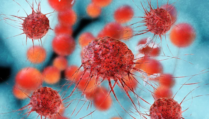 Cientistas brasileiros descobrem molécula que pode combater o câncer