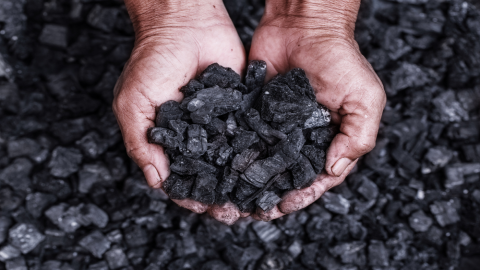 Carvão mineral: o que é e impactos! É prejudicial ao meio ambiente?