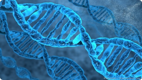 A Genômica: Como ela está moldando o futuro da ciência e da medicina